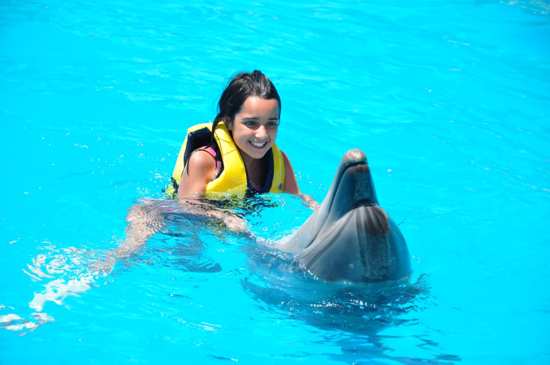 3Swimming with Dolphins from Sharm El Sheikh – unforgettable emotions and pure joy in the water! 🐬💙✨