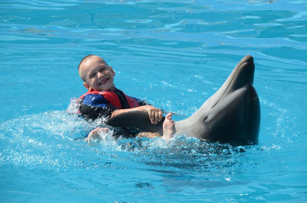 8Swimming with Dolphins from Sharm El Sheikh – unforgettable emotions and pure joy in the water! 🐬💙✨