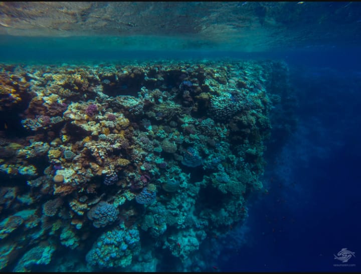 1Renkli Kanyon & Dahab — Şarm El Şeyh’ten, çölün denizle buluştuğu yer!  🏜️🌊✨