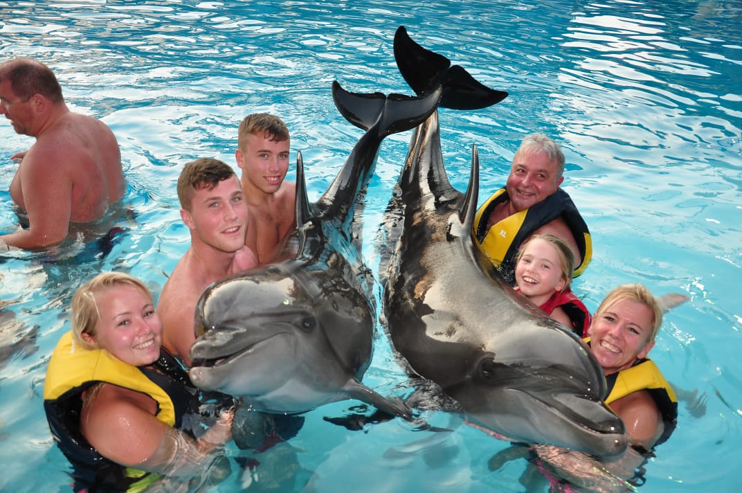 4Swimming with Dolphins from Sharm El Sheikh – unforgettable emotions and pure joy in the water! 🐬💙✨