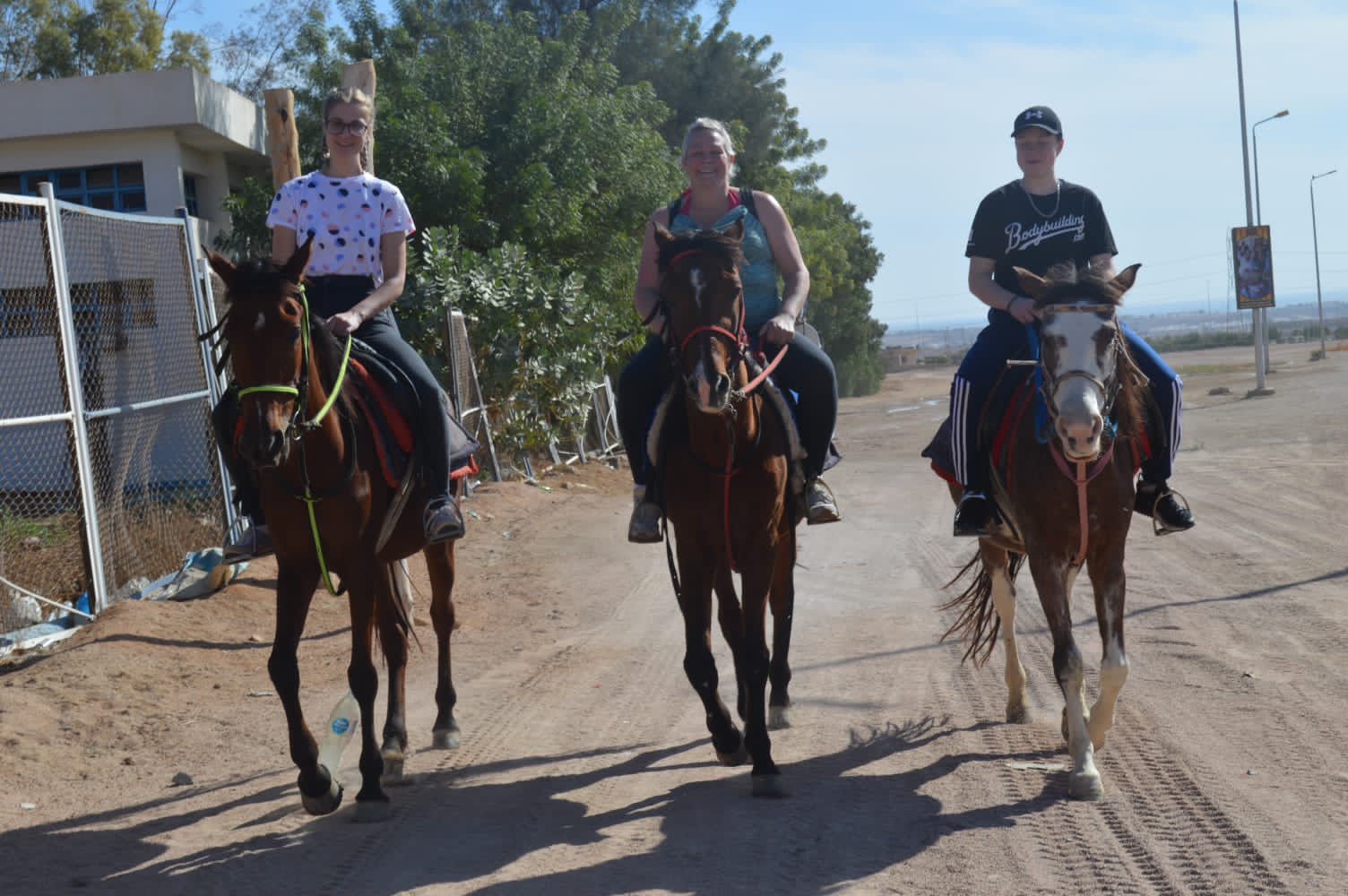 5Sharm El Sheikh’te At Binme – Altın Çölün Özgürlüğünü Hissedin! 🏇