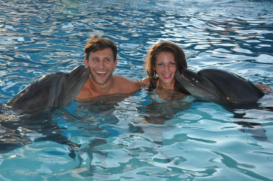 5Swimming with Dolphins from Sharm El Sheikh – unforgettable emotions and pure joy in the water! 🐬💙✨