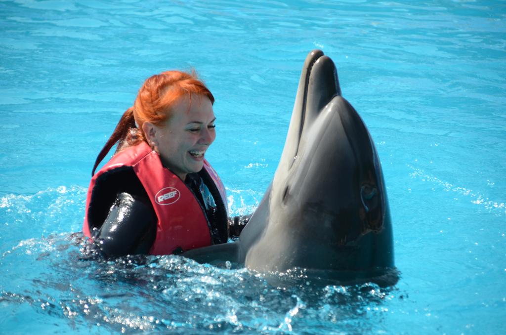 10Swimming with Dolphins from Sharm El Sheikh – unforgettable emotions and pure joy in the water! 🐬💙✨