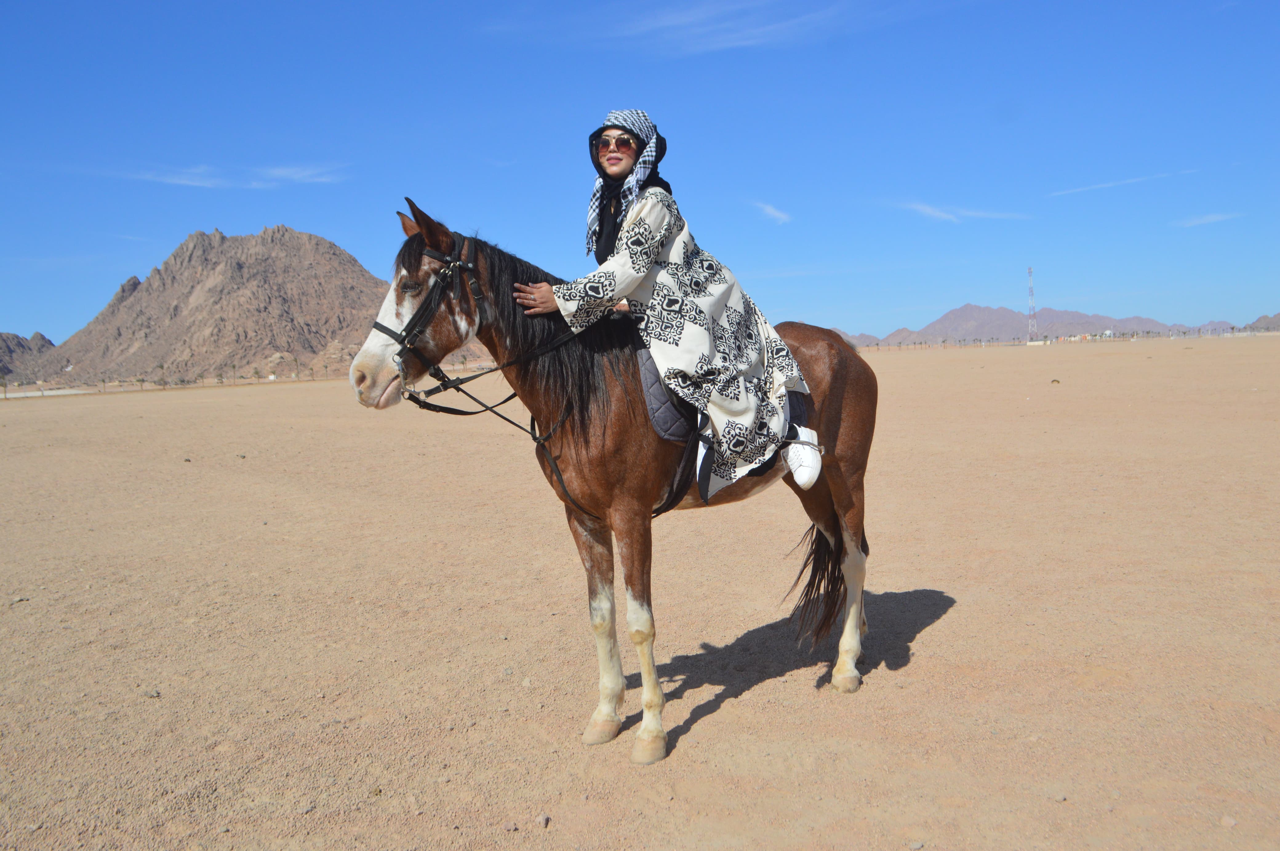 6Sharm El Sheikh’te At Binme – Altın Çölün Özgürlüğünü Hissedin! 🏇