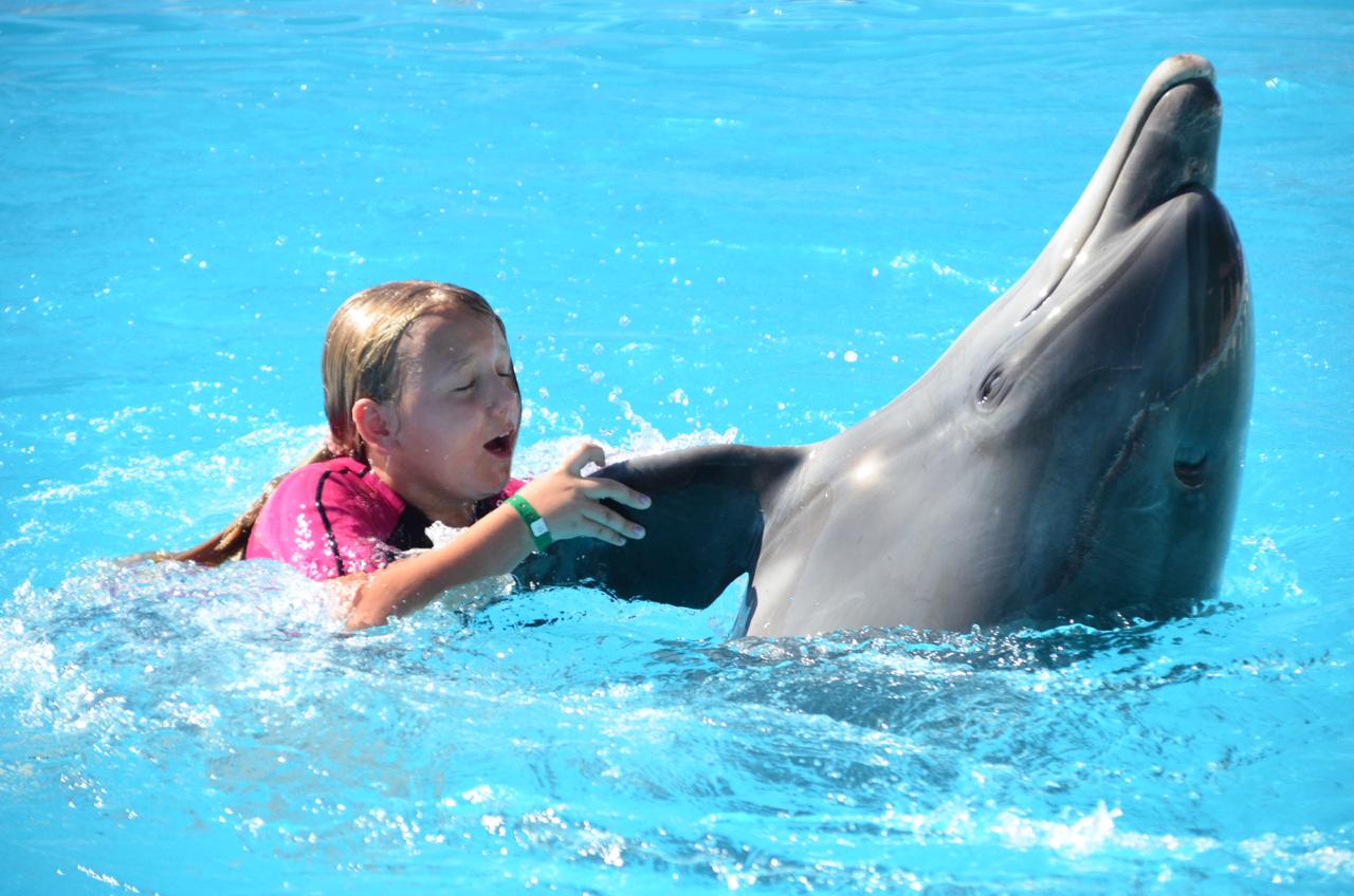11Swimming with Dolphins from Sharm El Sheikh – unforgettable emotions and pure joy in the water! 🐬💙✨