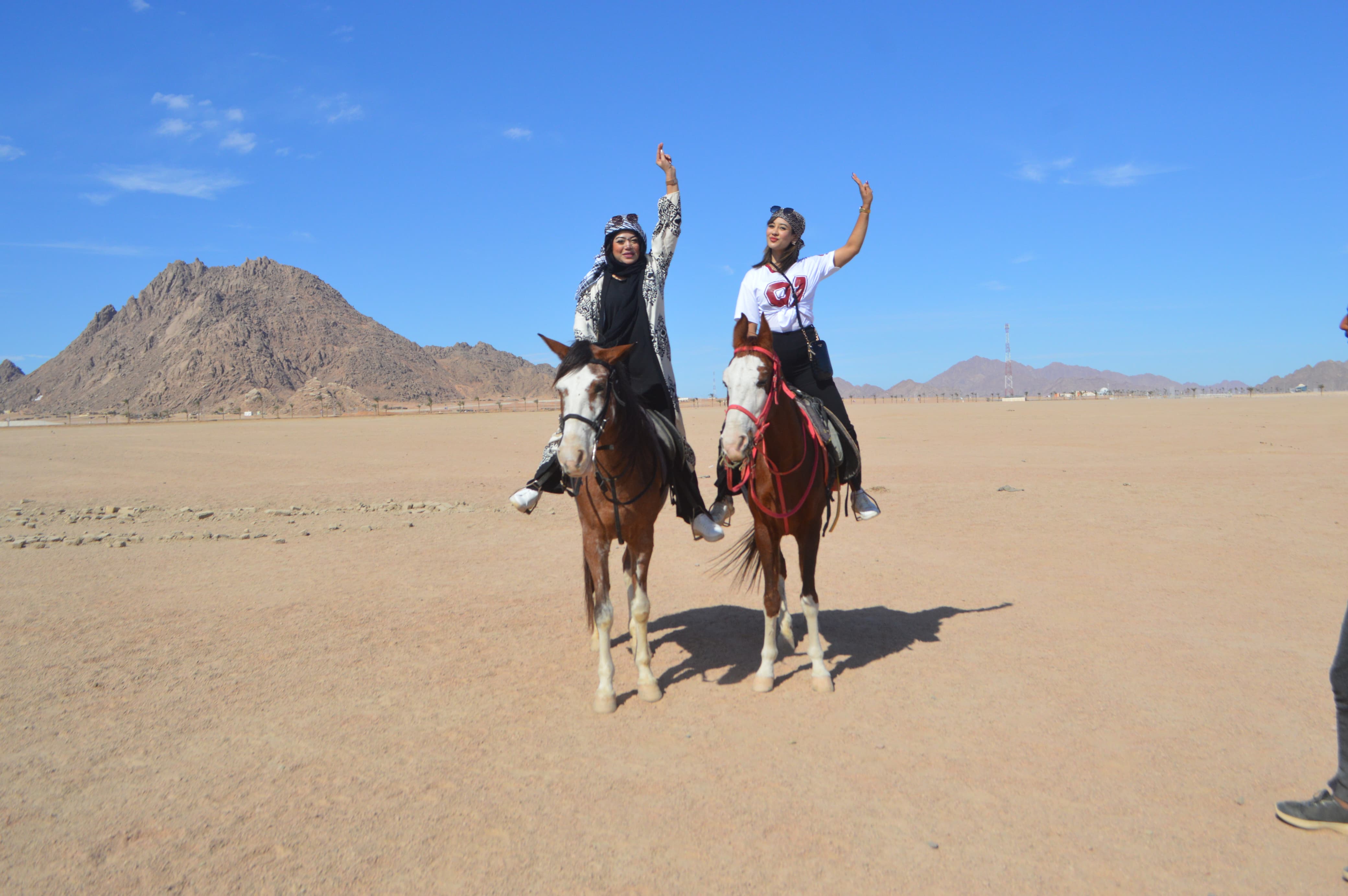 7Sharm El Sheikh’te At Binme – Altın Çölün Özgürlüğünü Hissedin! 🏇