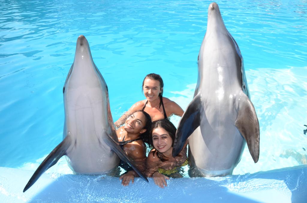 12Swimming with Dolphins from Sharm El Sheikh – unforgettable emotions and pure joy in the water! 🐬💙✨