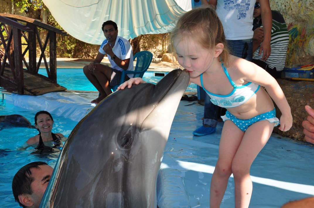 14Swimming with Dolphins from Sharm El Sheikh – unforgettable emotions and pure joy in the water! 🐬💙✨