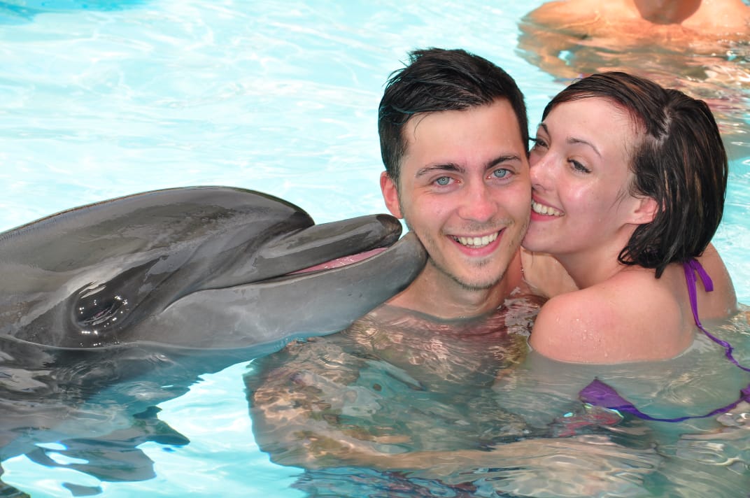 15Swimming with Dolphins from Sharm El Sheikh – unforgettable emotions and pure joy in the water! 🐬💙✨